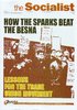 How the Sparks Beat the BESNA - Lessons for the Trade Union Movement