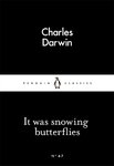 It Was Snowing Like Butterflies